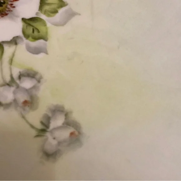 Vohenstrauss Johann Seltmann Bavaria Hand Painted Plate W/Pink White Roses Motif - Picture 4 of 4